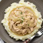 Shredded Chicken Gravy on Mashed Potatoes