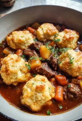 Tasty Beef Stew and Dumplings
